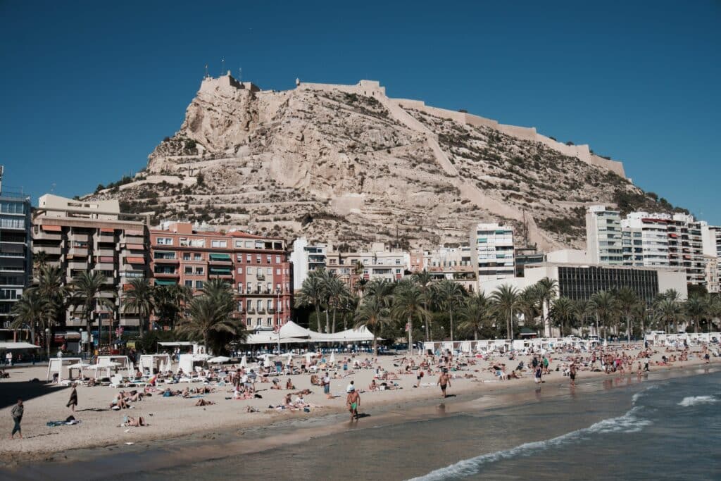 arraigo social españa alicante 2024